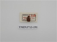 藏品(埔里胖絨毛金龜)的圖片